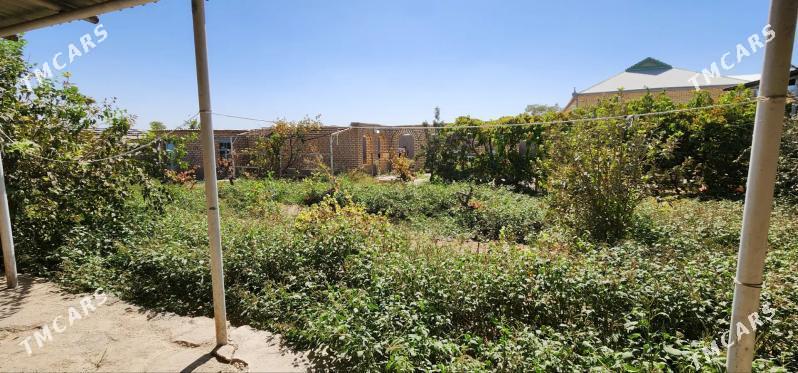 Satlyk jaý Wekilbazar etrap Egriguzer - Mary - img 7