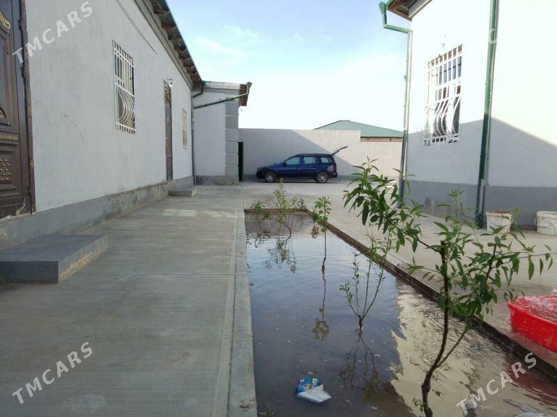 30 yyllyk Gulistan - Дашогуз - img 7