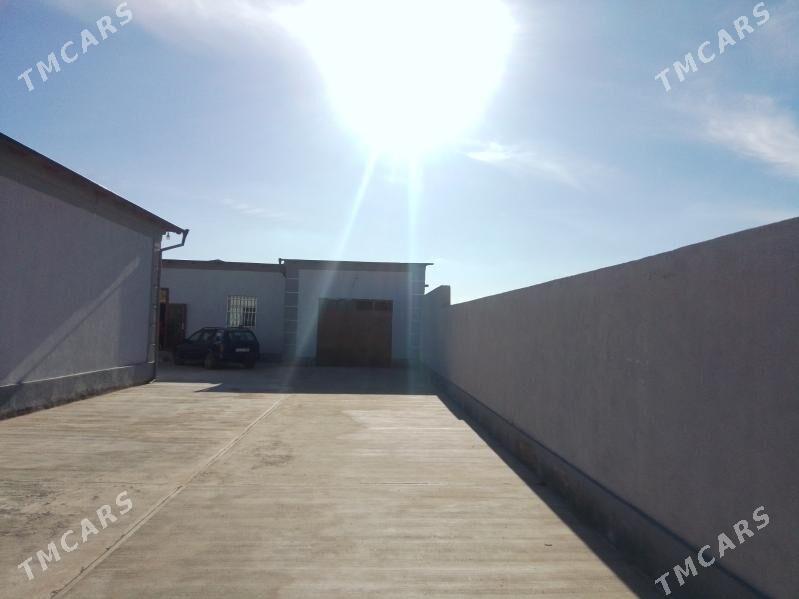 30 yyllyk Gulistan - Дашогуз - img 4