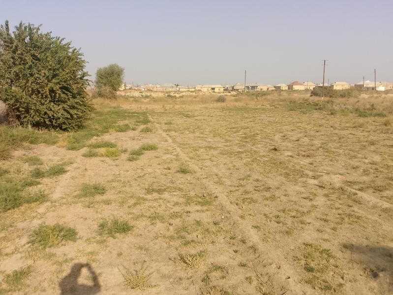 mellek we jay atabayew - Мары - img 2