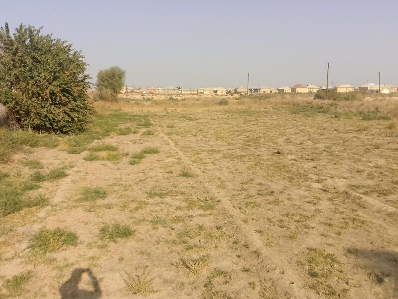 mellek we jay atabayew - Мары - img 1