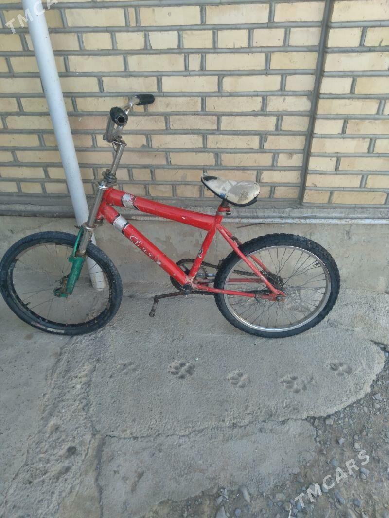 Tigir - Bäherden - img 2