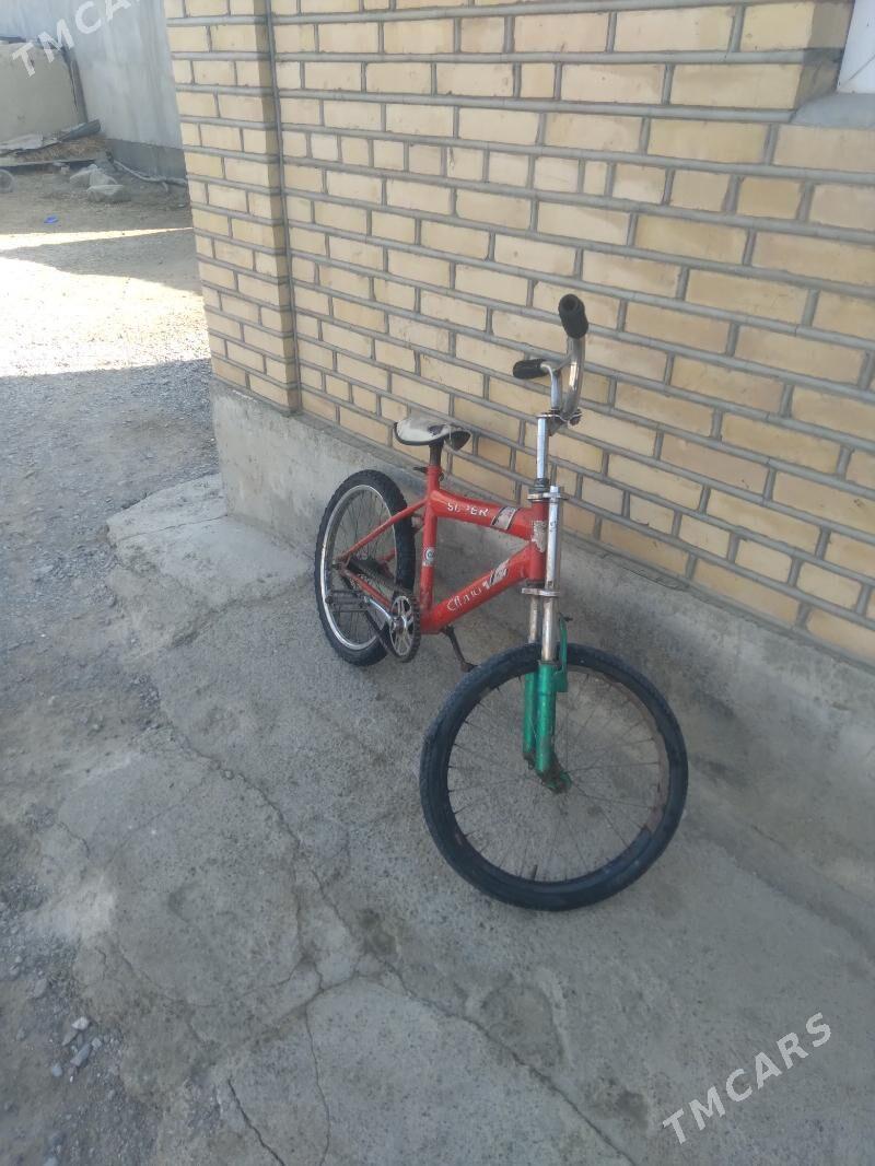 Tigir - Bäherden - img 1