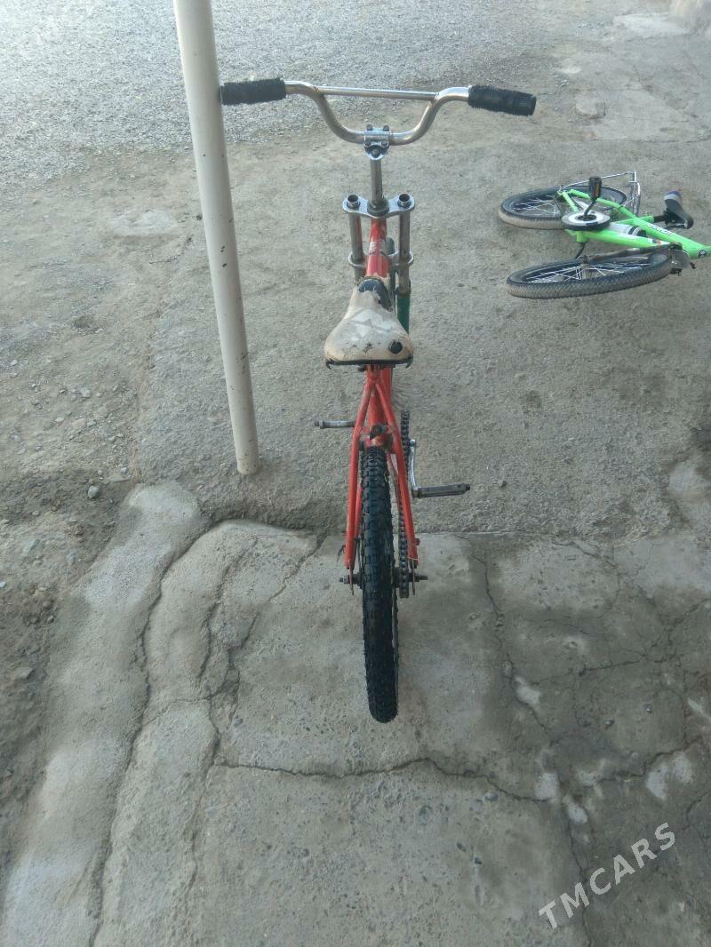 Tigir - Bäherden - img 4