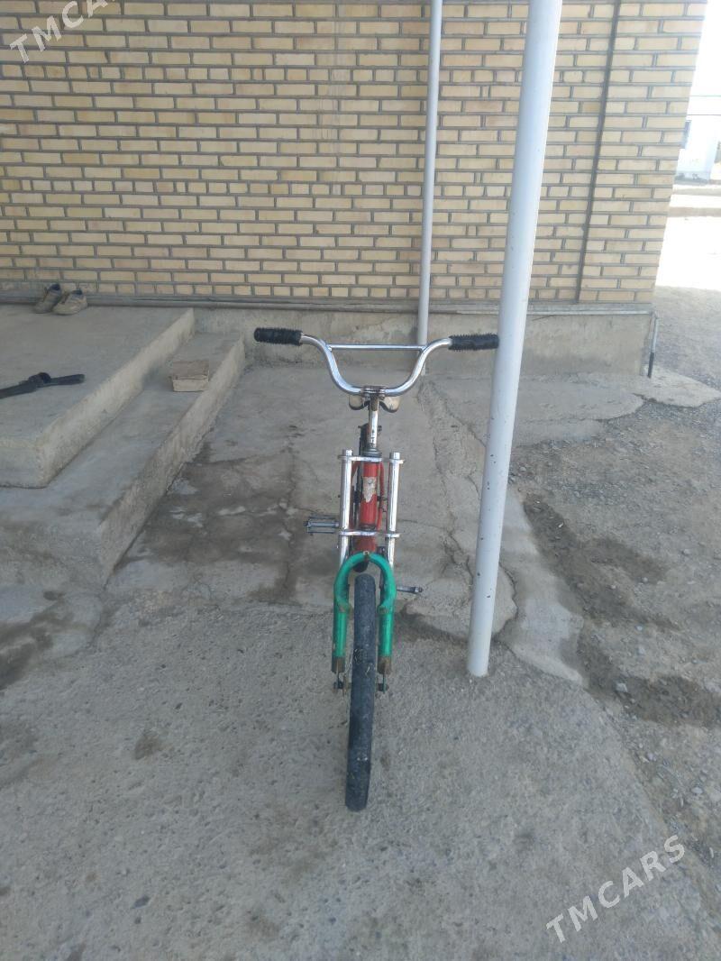 Tigir - Bäherden - img 3