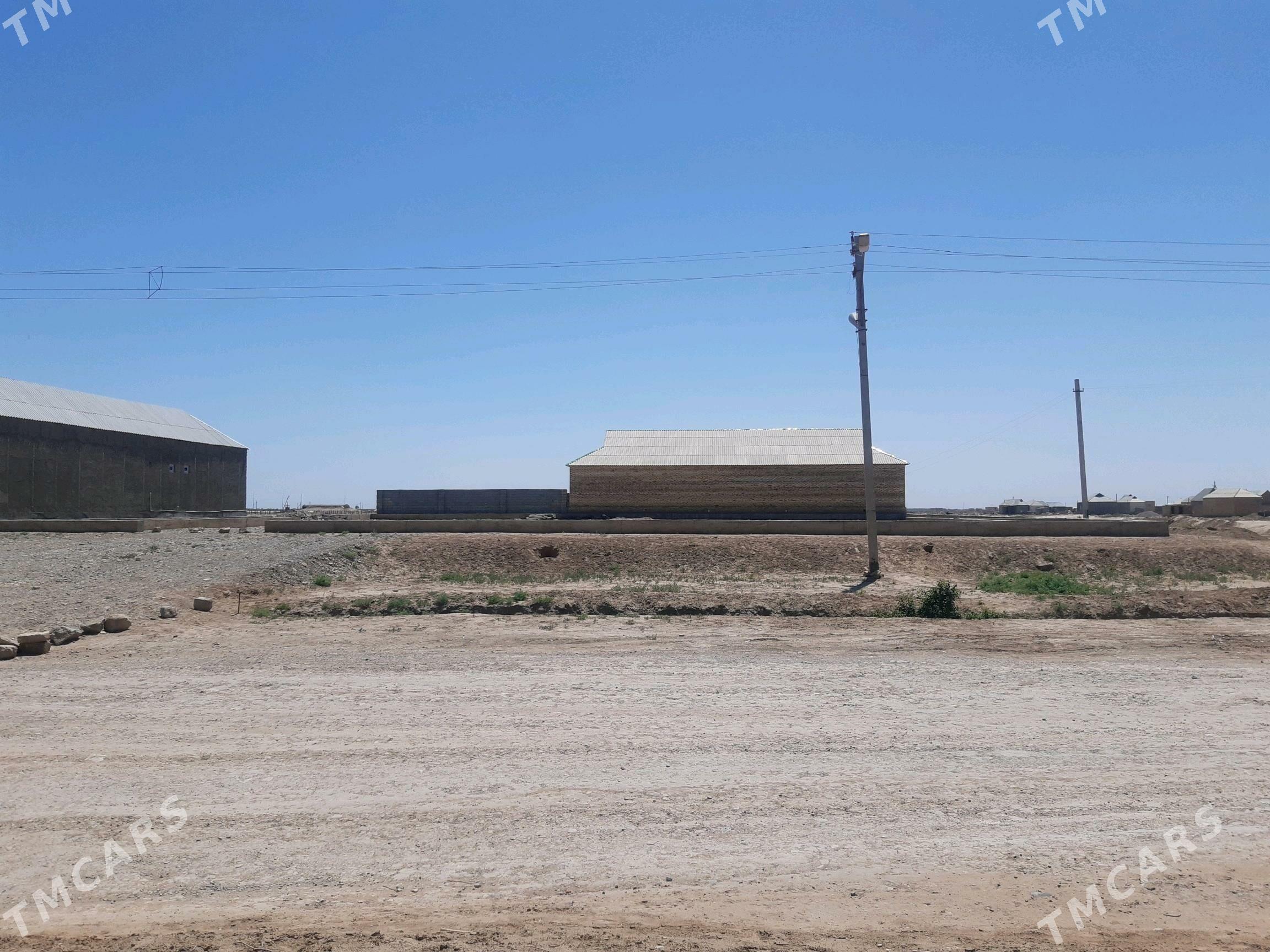 Tejen.Ş.mellek ýer - Tejen - img 2