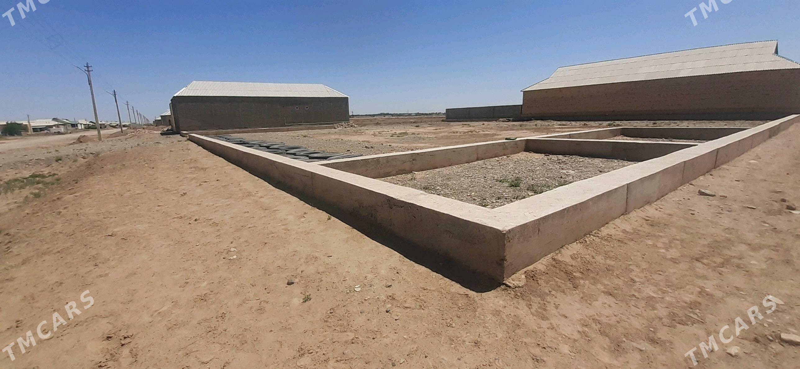 Tejen.Ş.mellek ýer - Tejen - img 5