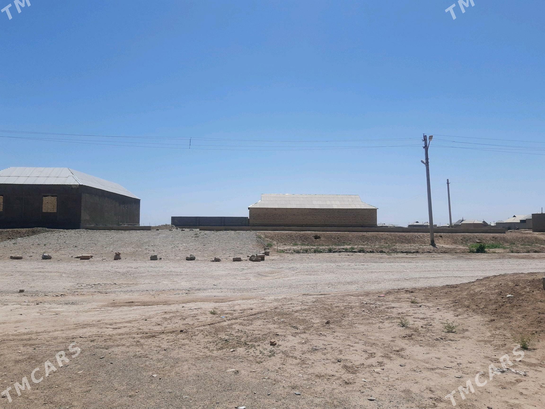 Tejen.Ş.mellek ýer - Tejen - img 4