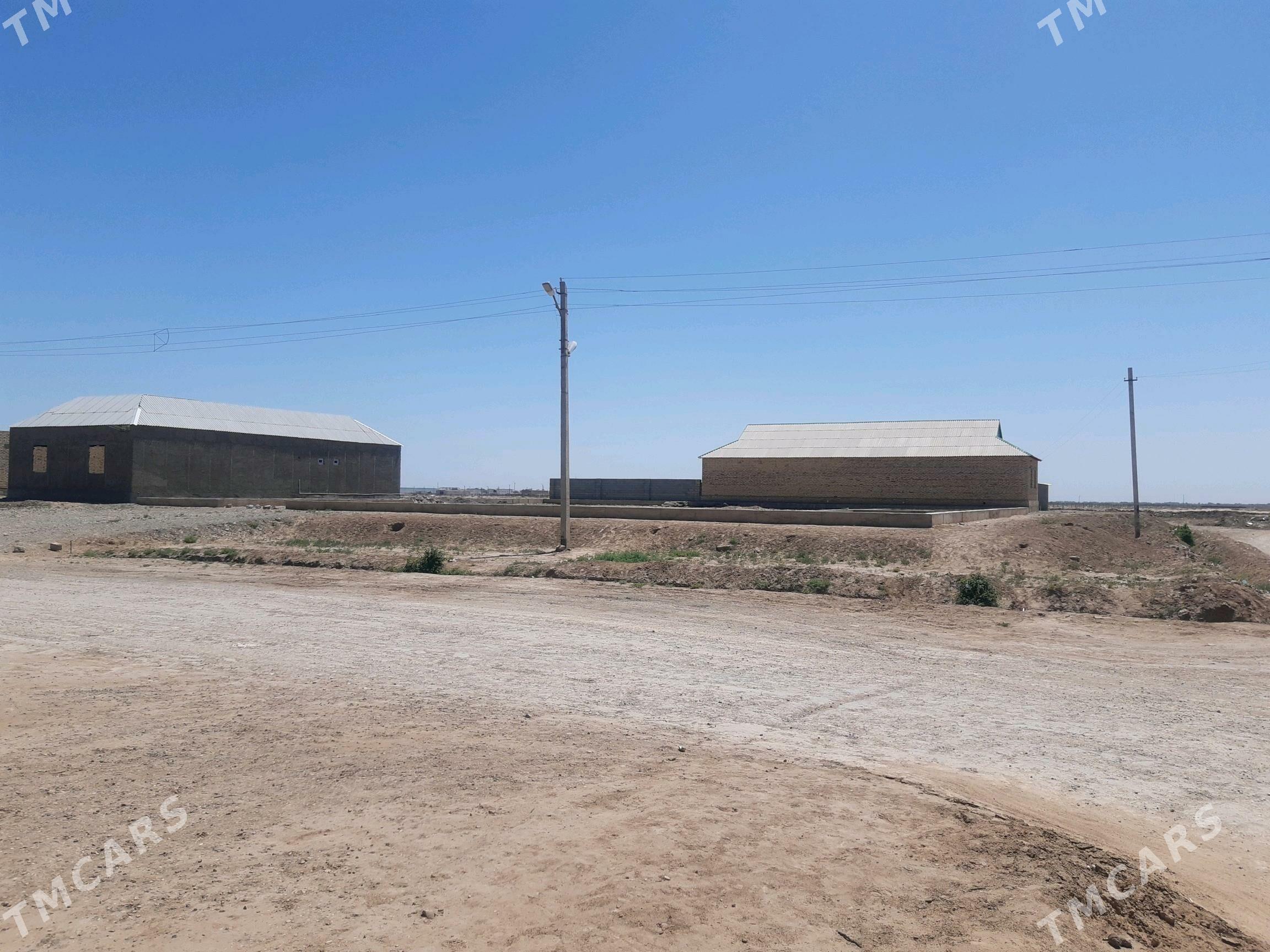 Tejen.Ş.mellek ýer - Tejen - img 6