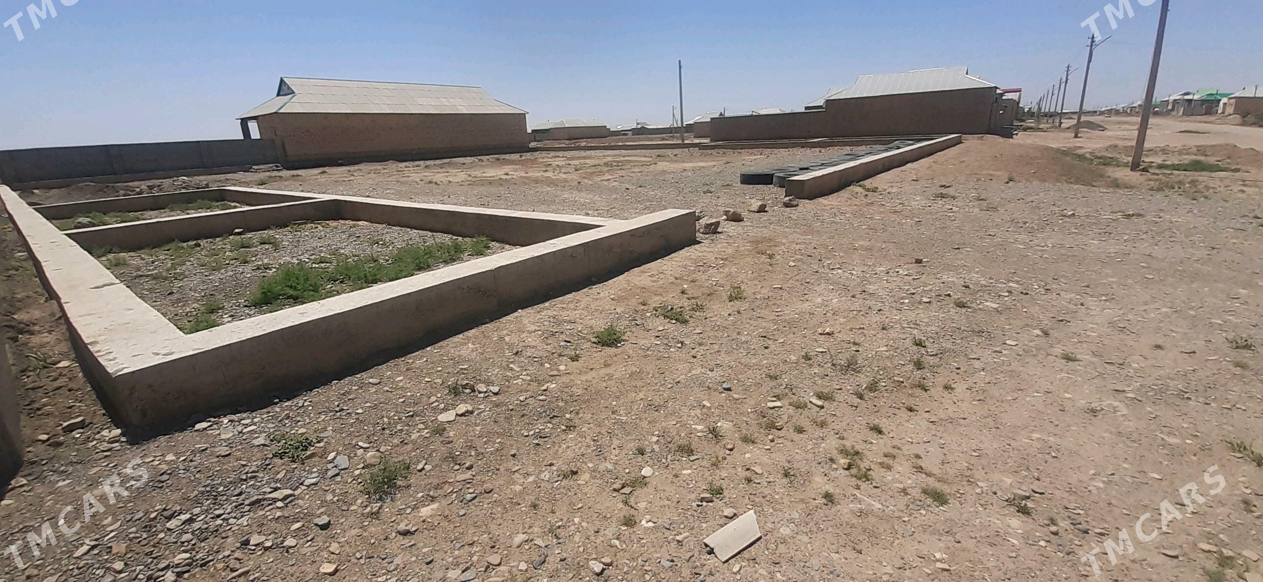 Tejen.Ş.mellek ýer - Tejen - img 7