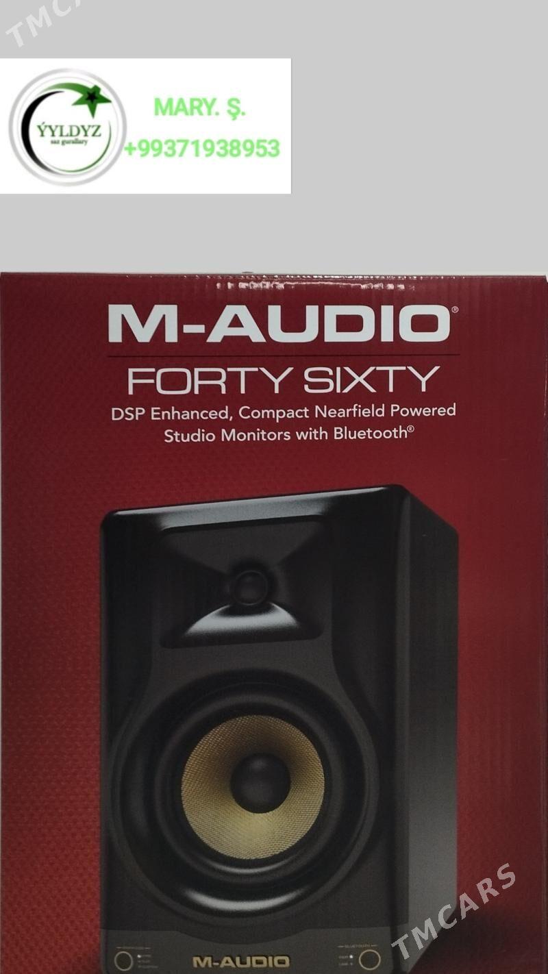 M-AUDİO - Mary - img 4
