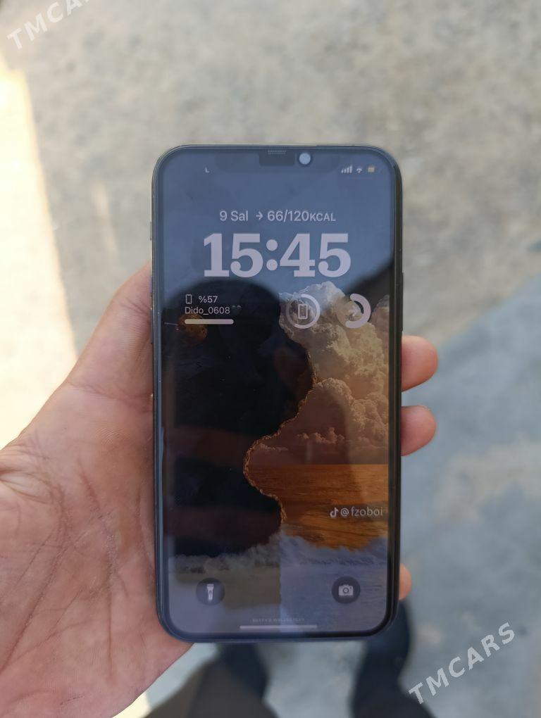 Ipxone 11pro - Mary - img 2