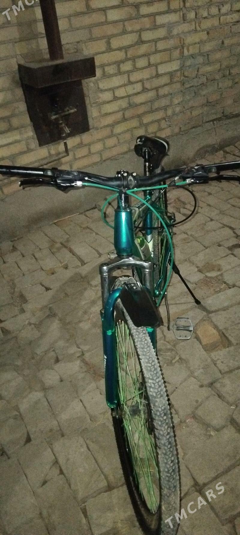 sport master - Туркменабат - img 2