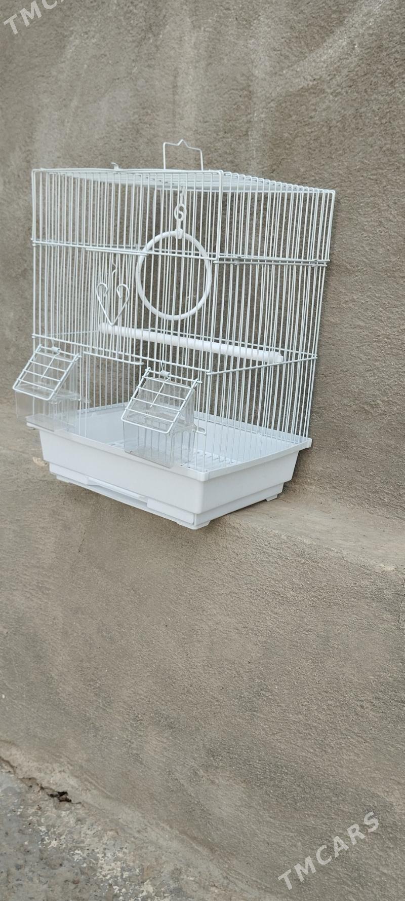 Guş Ketek - Bäherden - img 2