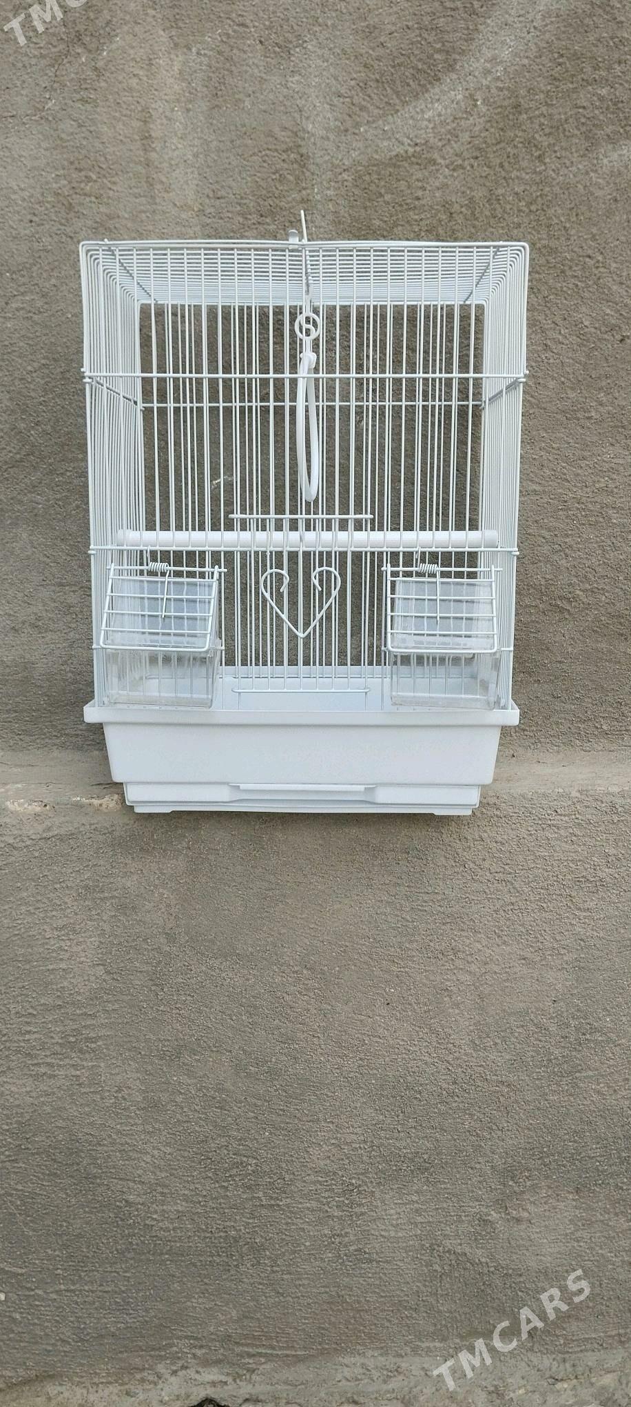 Guş Ketek - Bäherden - img 3