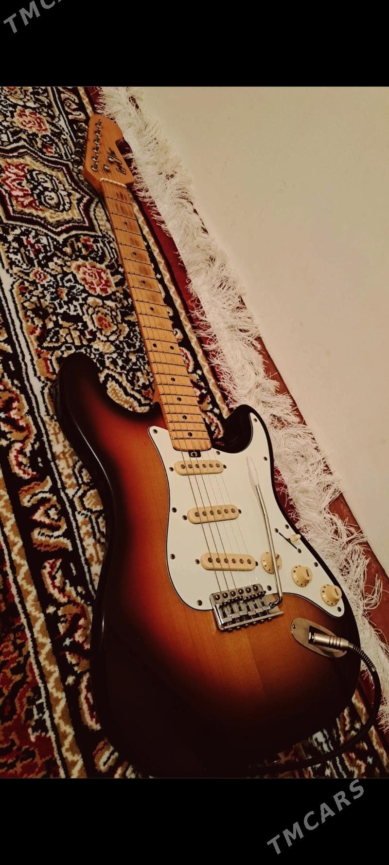 Gitara - Дашогуз - img 1