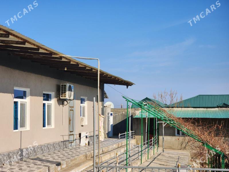 gawers 16sotka jay eyesinden.. - Ak bugdaý etraby - img 5