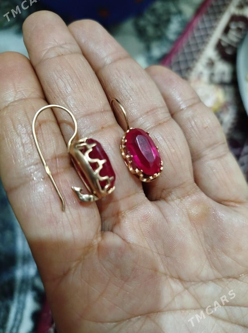 gadymy gyzyl tarakan halka - Ашхабад - img 1