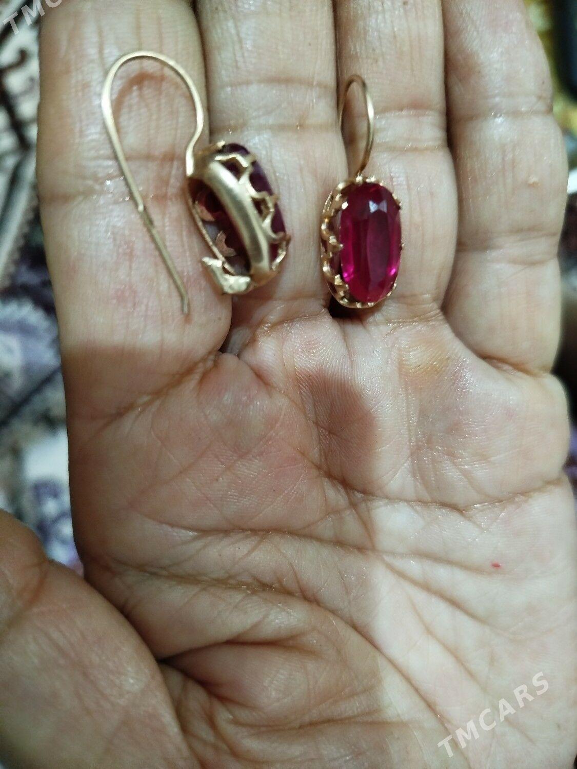 gadymy gyzyl tarakan halka - Ашхабад - img 2