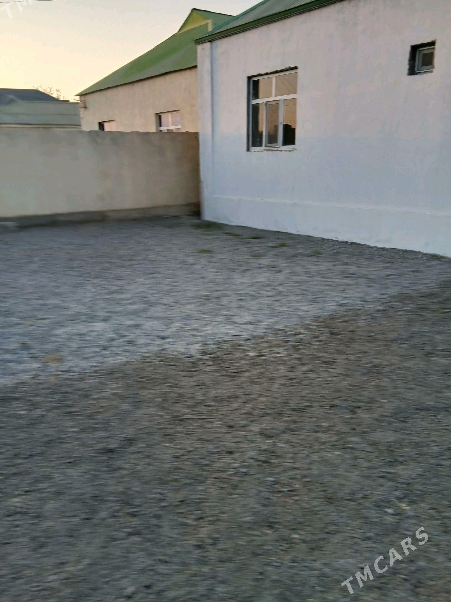 Gypjak mellek jay - Aşgabat - img 2