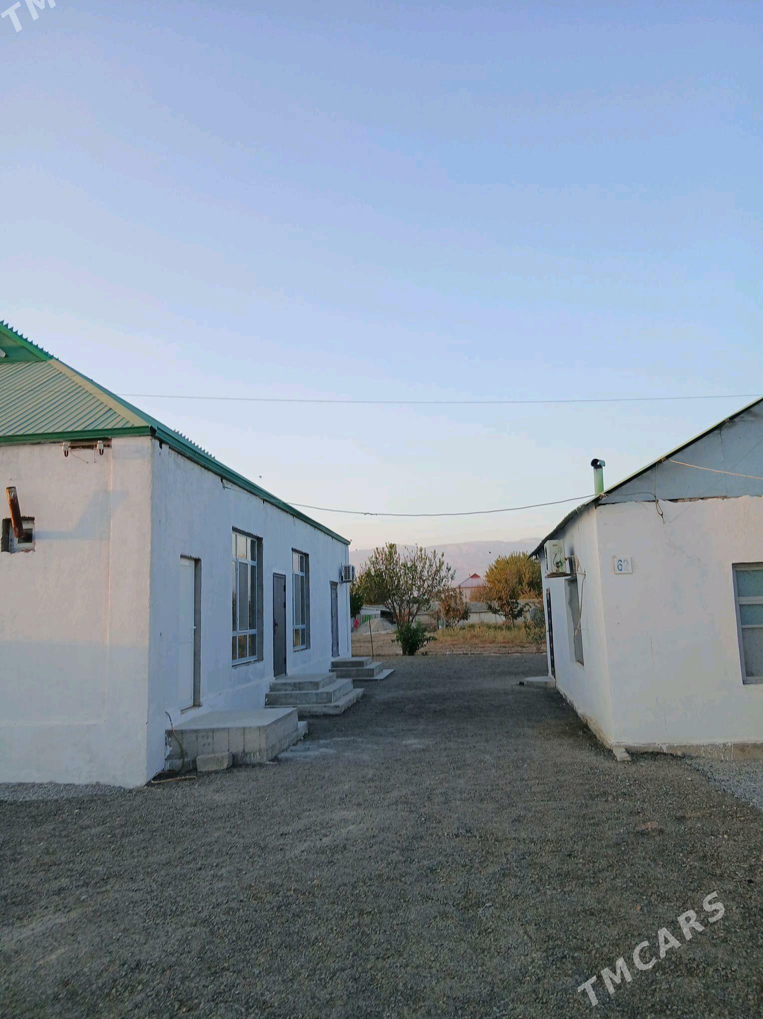 Gypjak mellek jay - Aşgabat - img 3