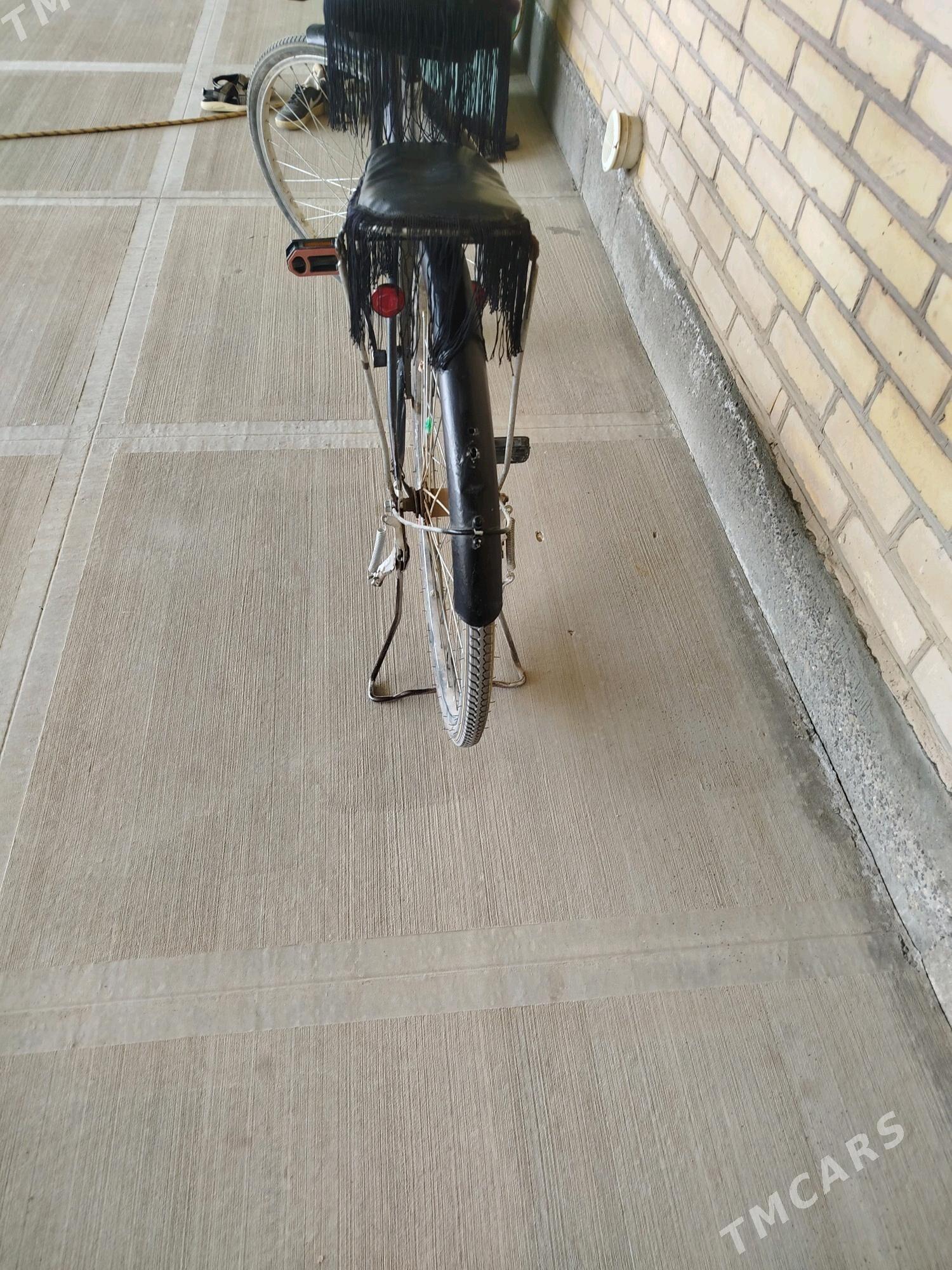 tigir - Saýat - img 3