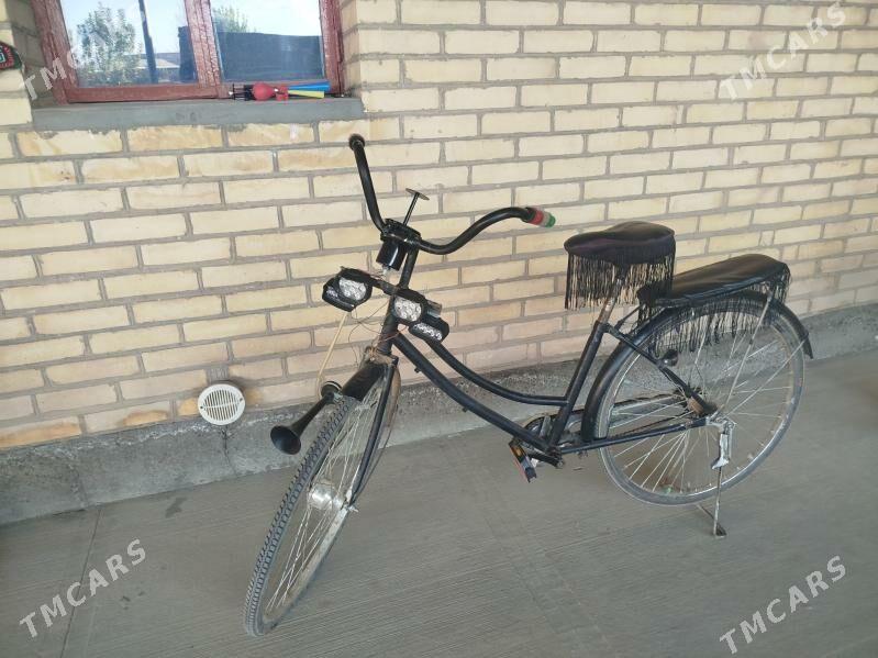 tigir - Saýat - img 2