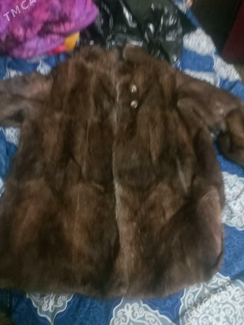 Şubalar täze - Mary - img 2