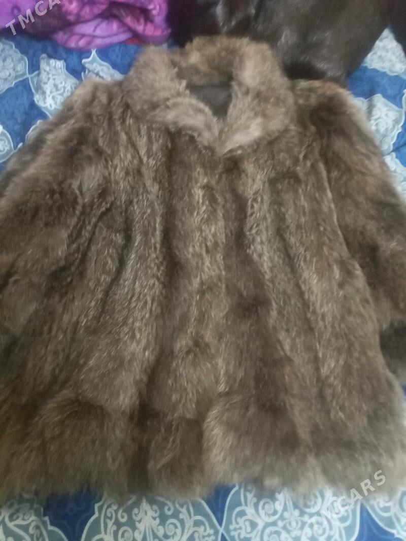 Şubalar täze - Mary - img 1