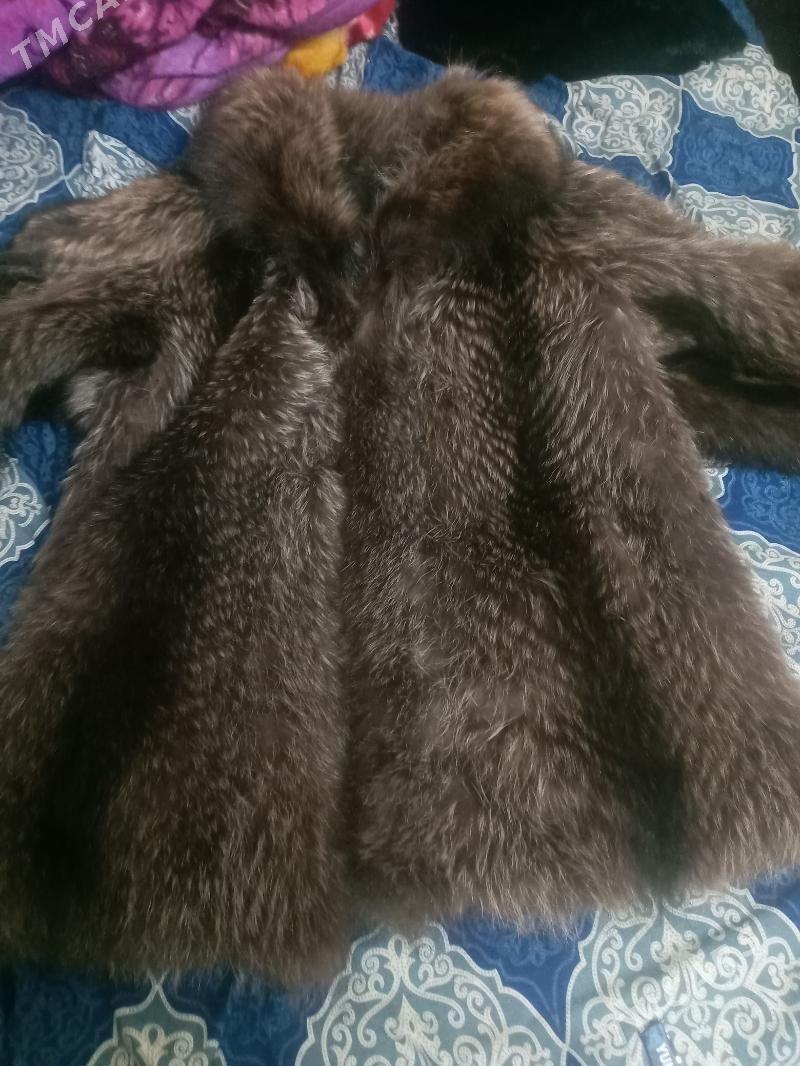 Şubalar täze - Mary - img 3