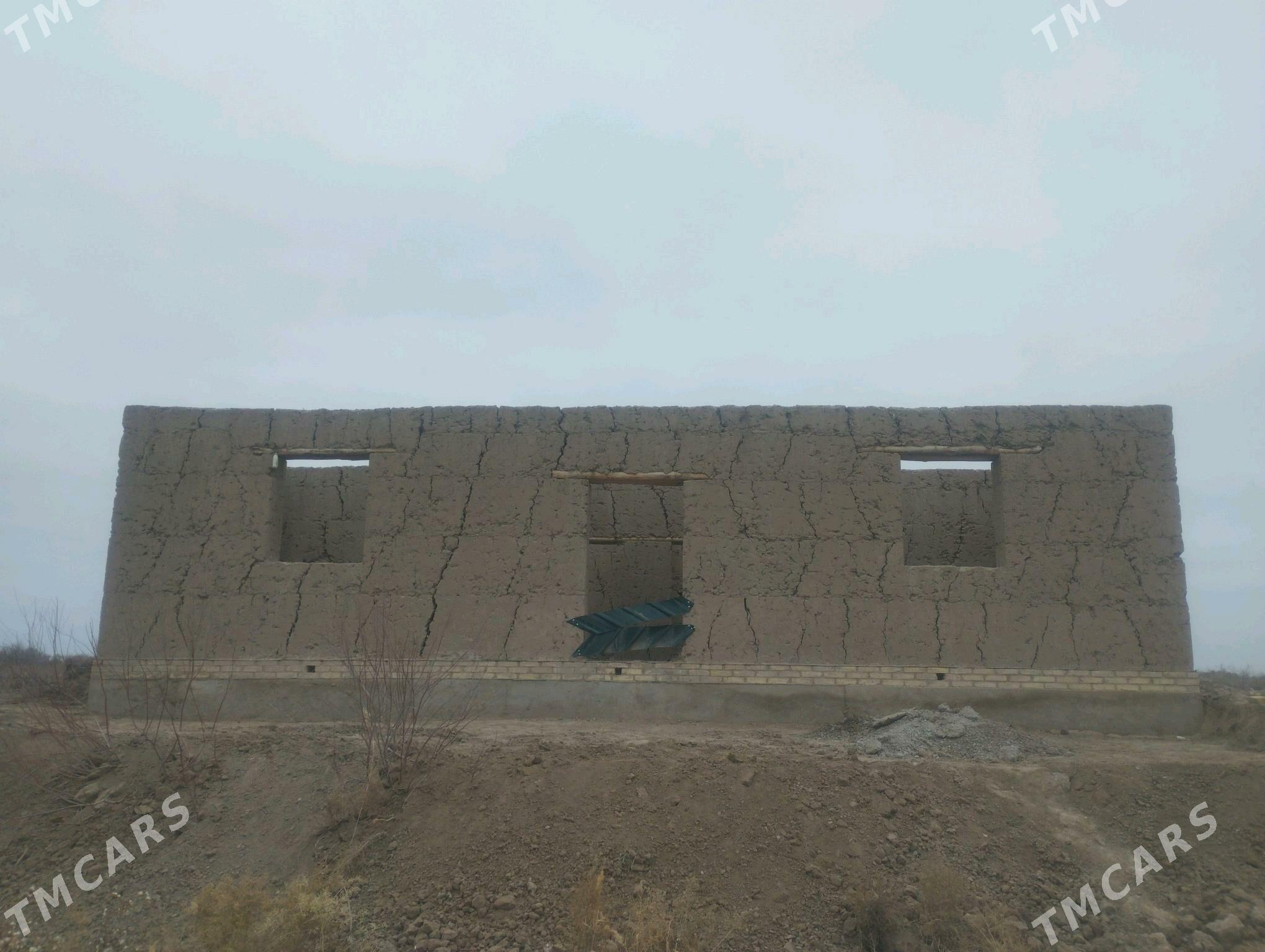 jay  Aktam Obasy - Кёнеургенч - img 5