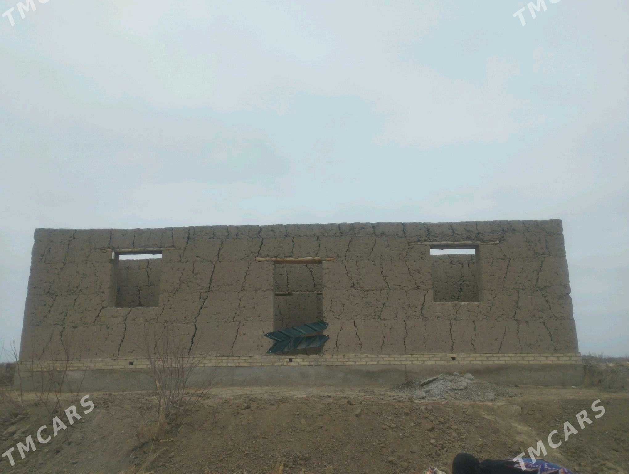 jay  Aktam Obasy - Кёнеургенч - img 4