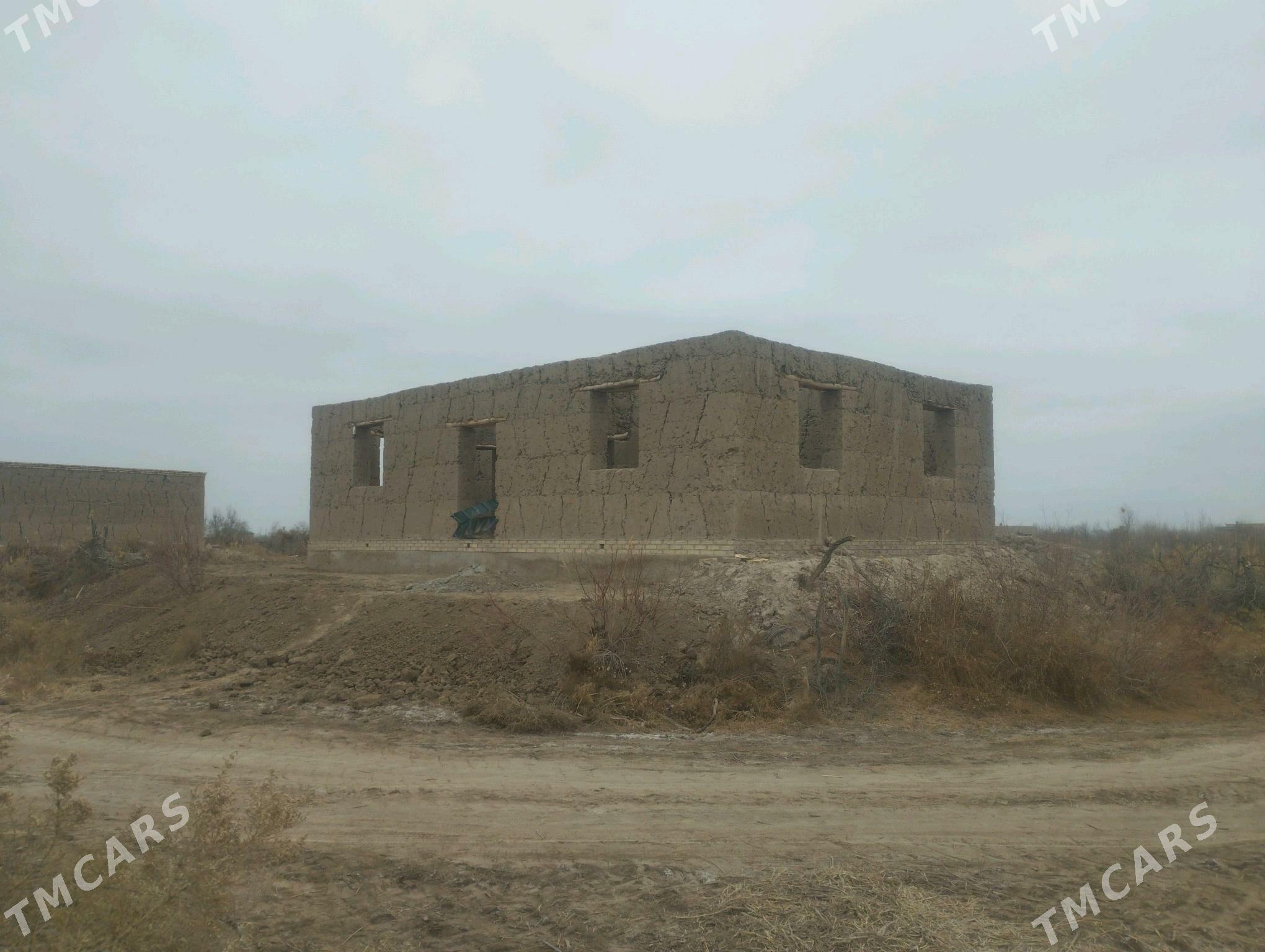 jay  Aktam Obasy - Кёнеургенч - img 2