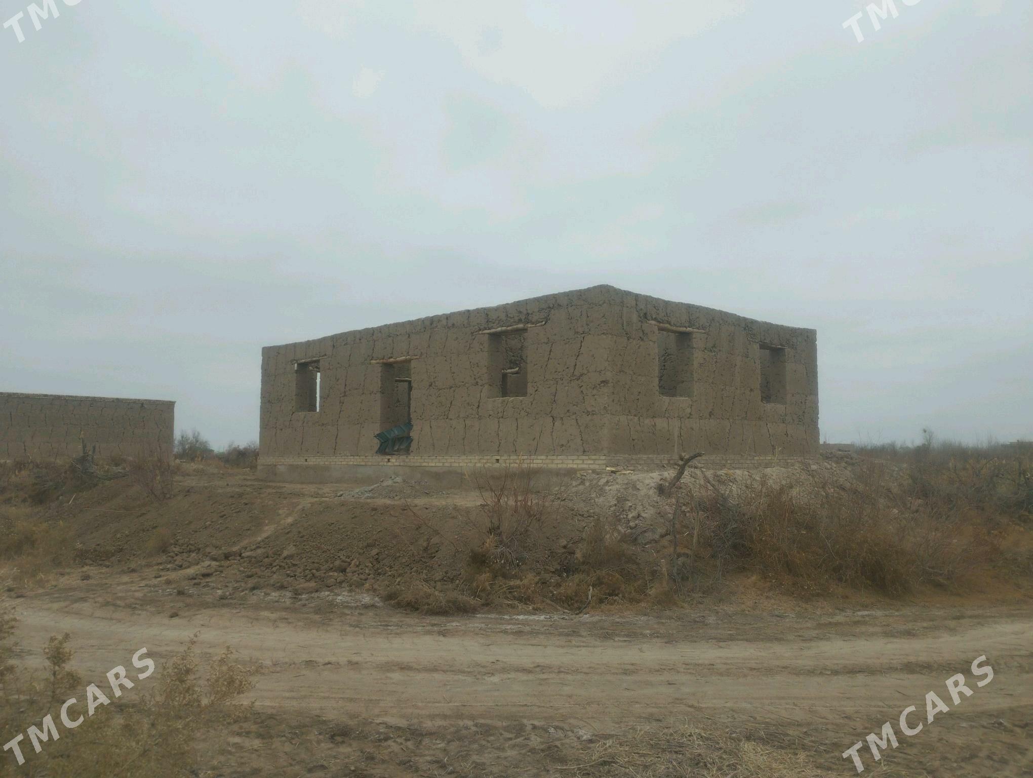 jay  Aktam Obasy - Кёнеургенч - img 3