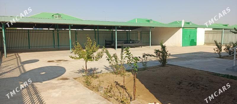 TAZE ZAMAN 2 - Täze zaman - img 4