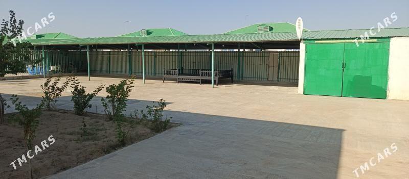 TAZE ZAMAN 2 - Täze zaman - img 5