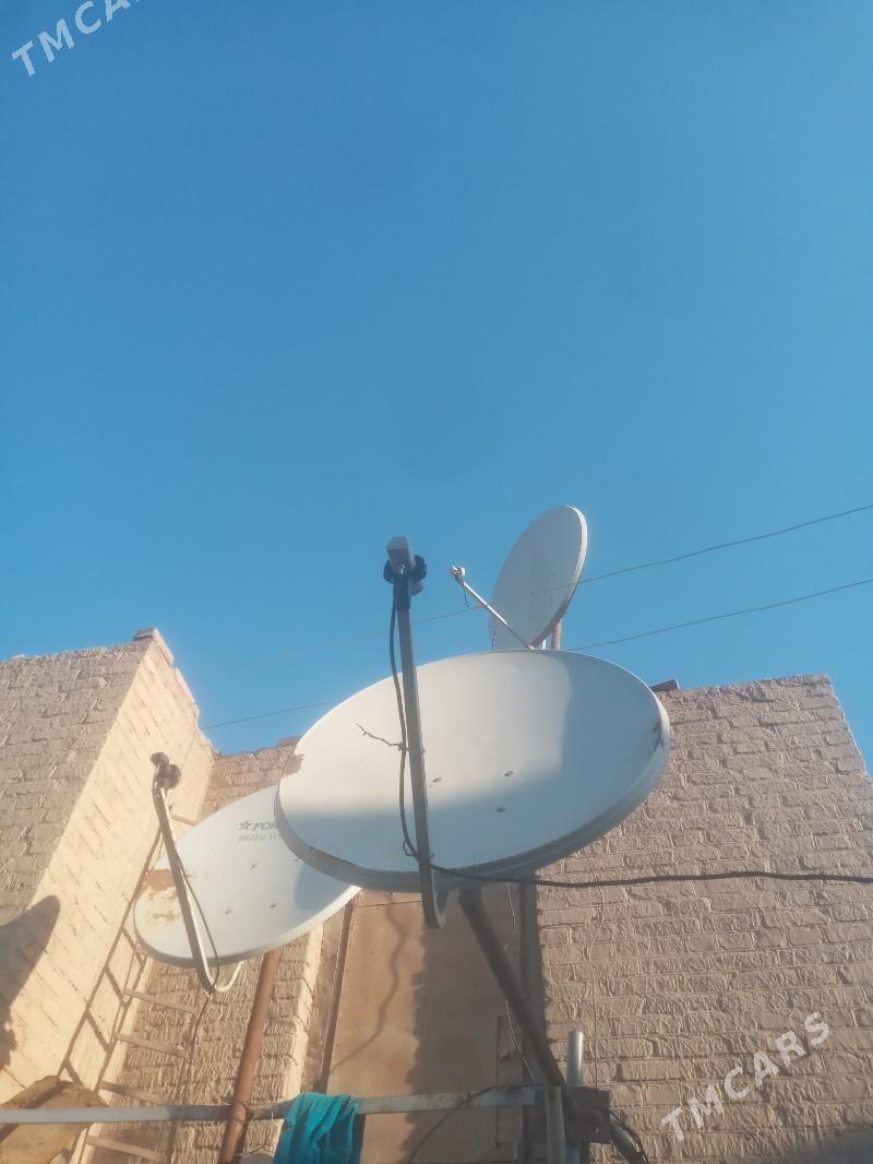 anten 100 m - Dänew - img 2