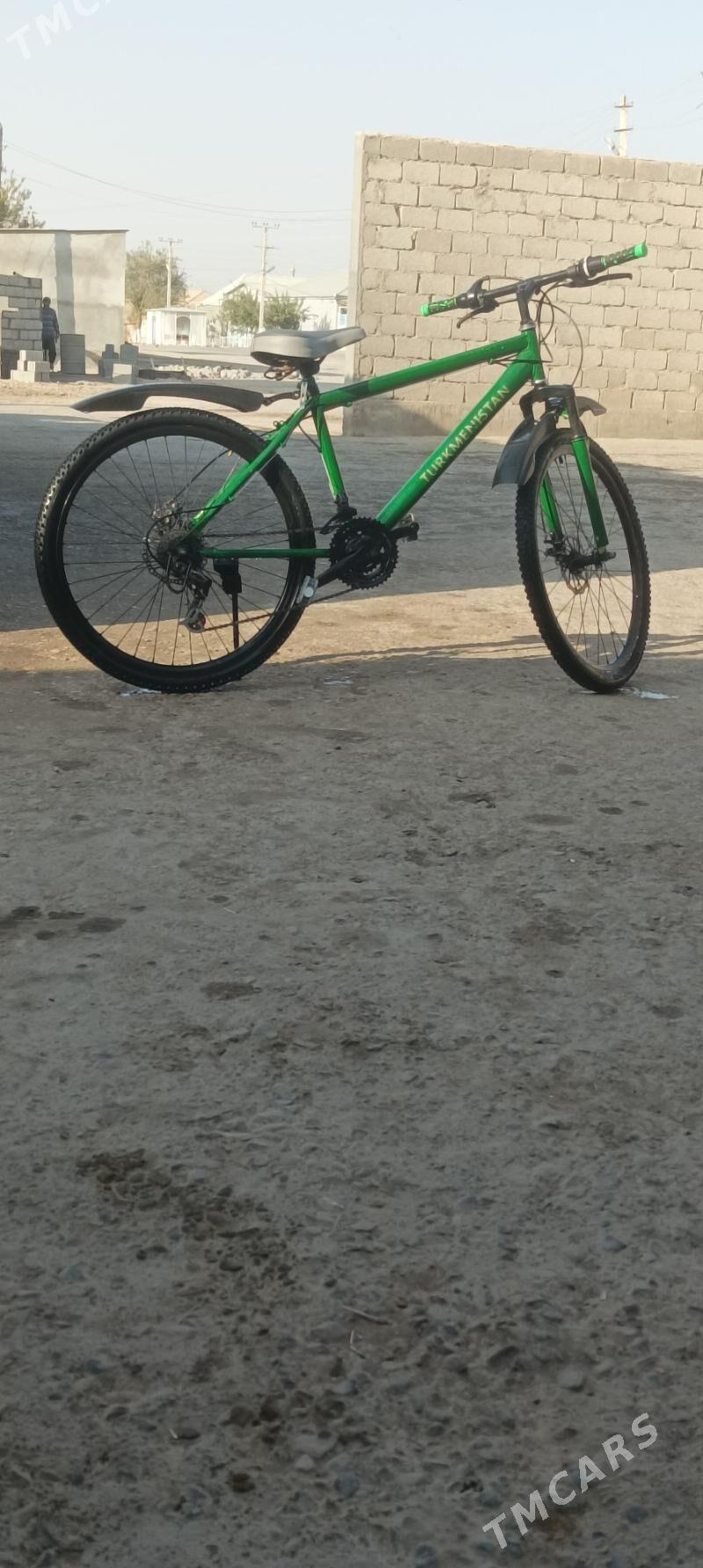 Tigir - Tejen - img 1