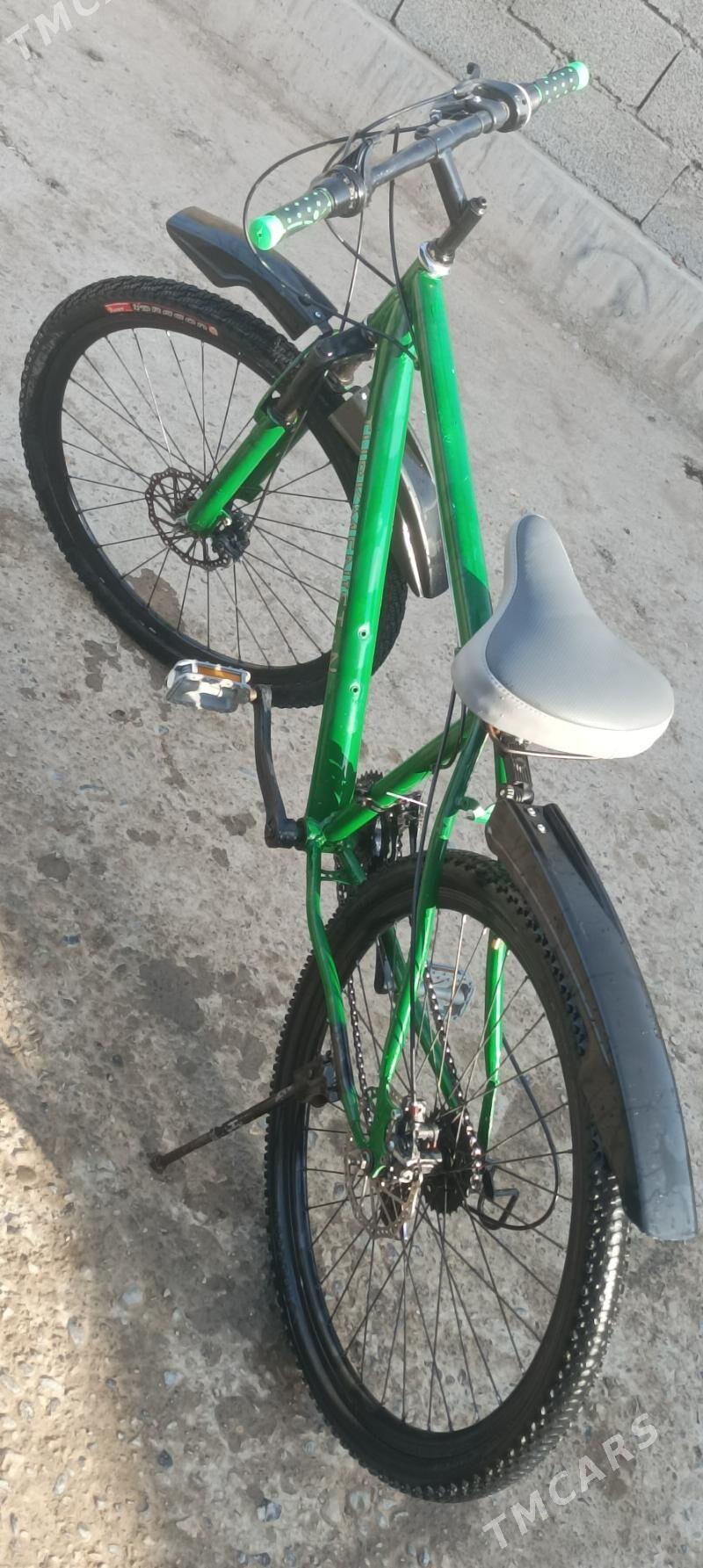 Tigir - Tejen - img 2