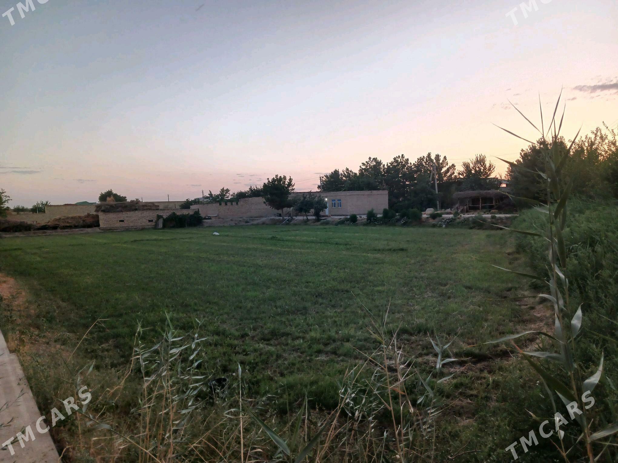 сатлык жай - Саят - img 5