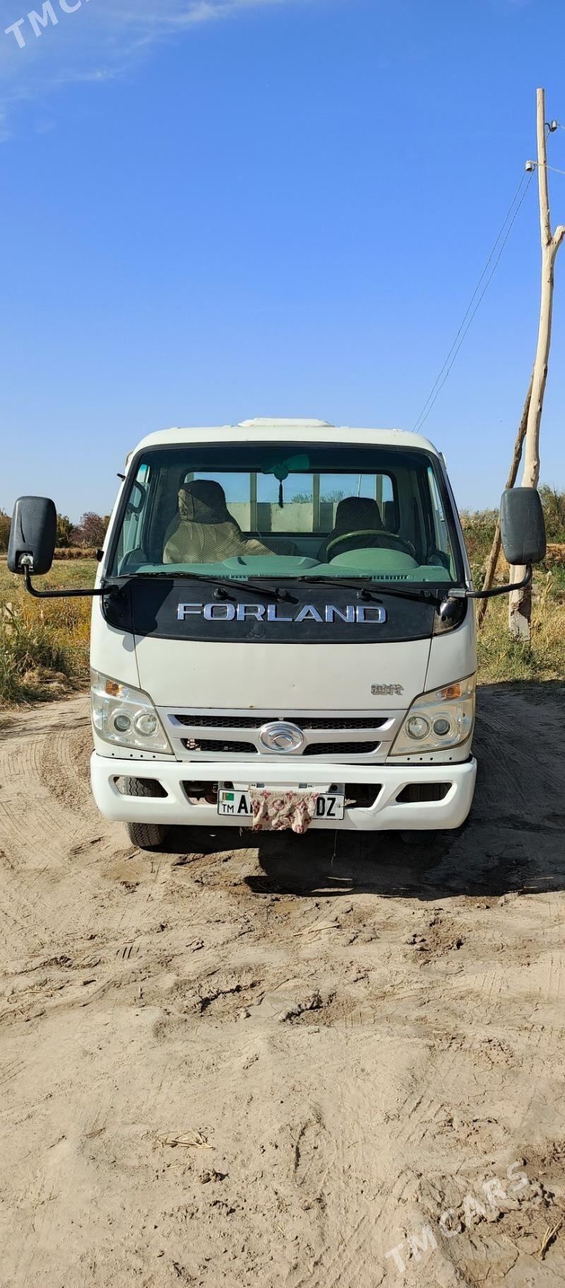 Forland H2 2011 - 100 000 TMT - Гороглы (Тагта) - img 1