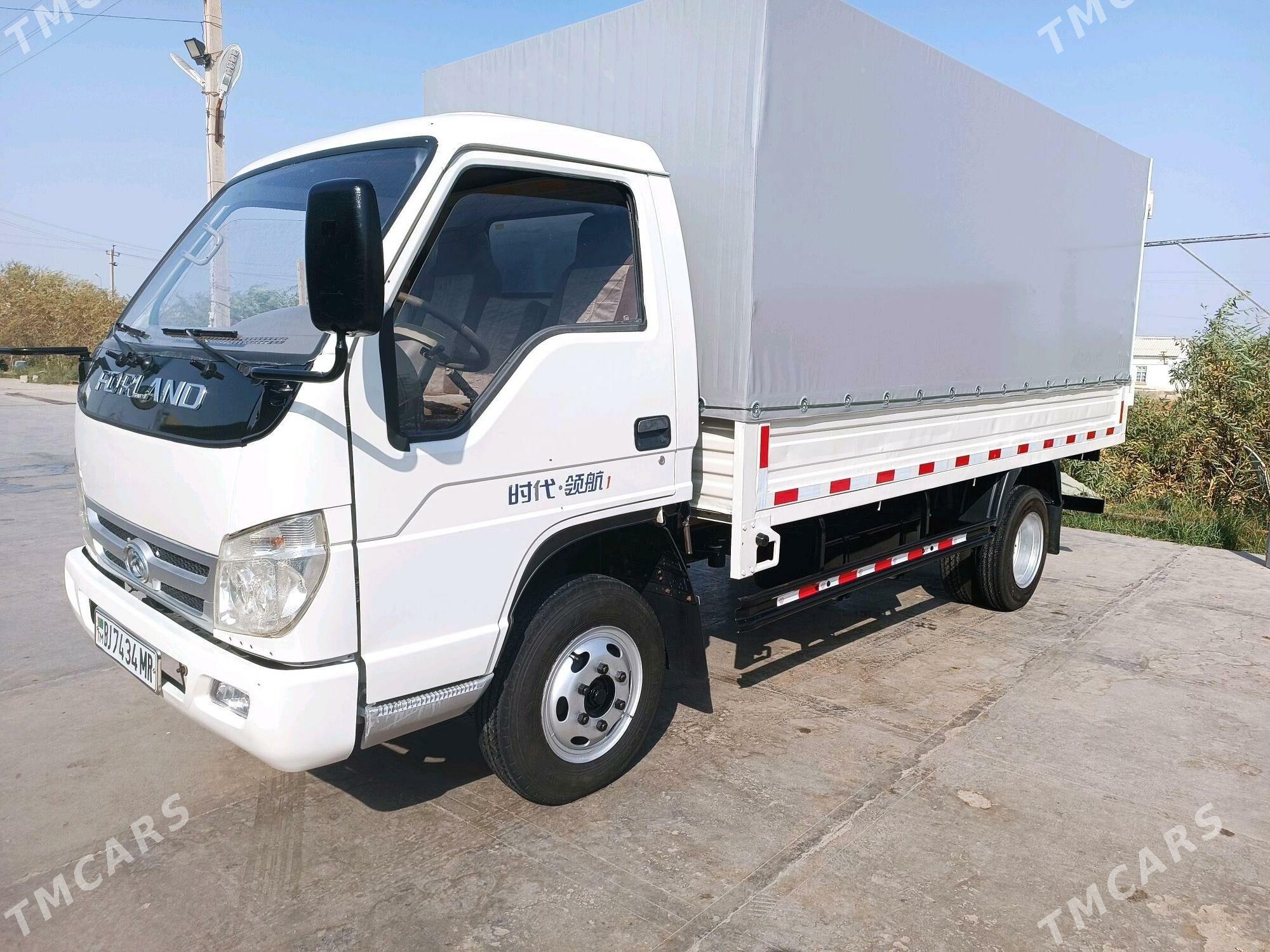 Forland H2 2013 - 135 000 TMT - Мары - img 4