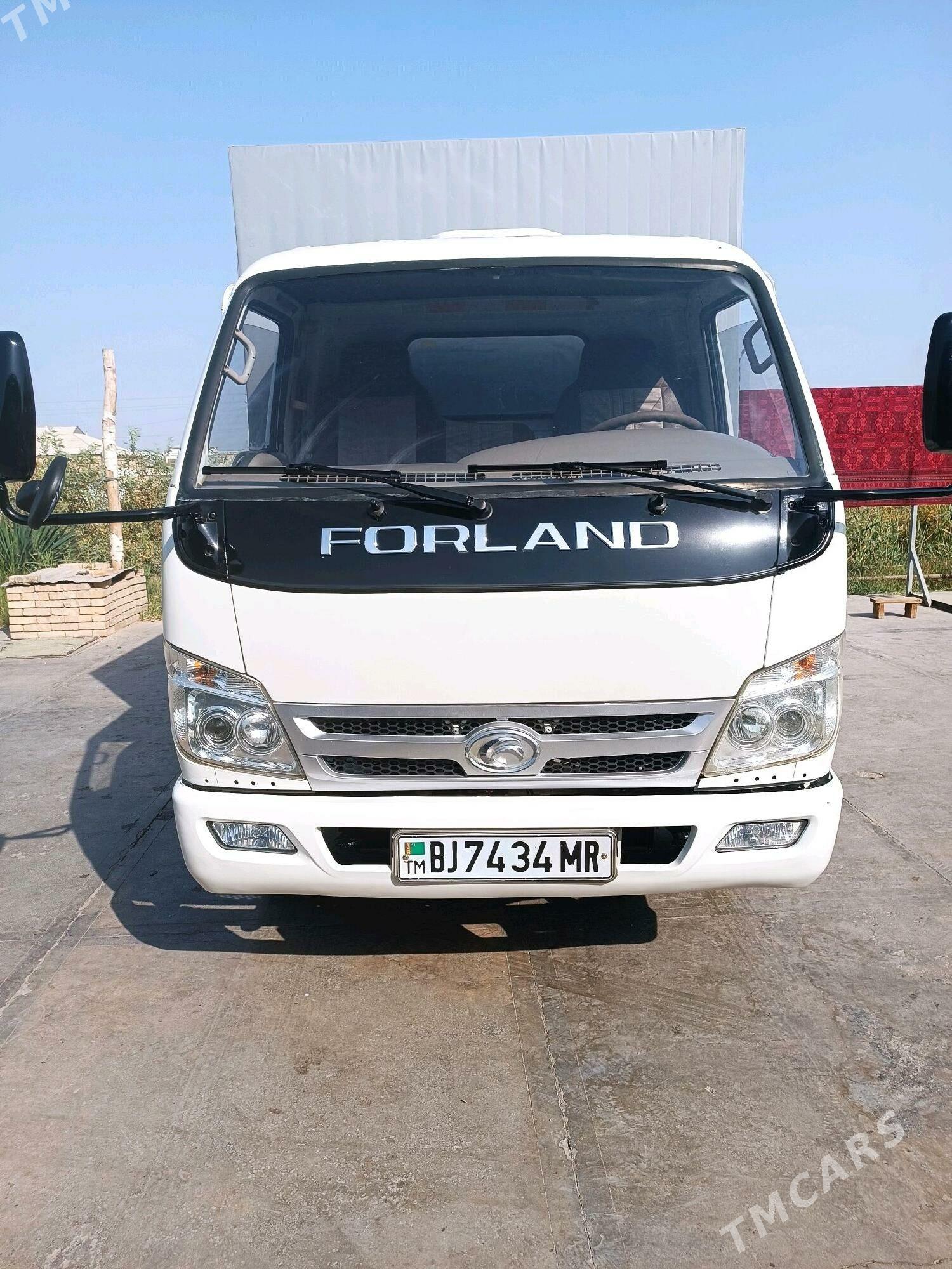 Forland H2 2013 - 135 000 TMT - Мары - img 2