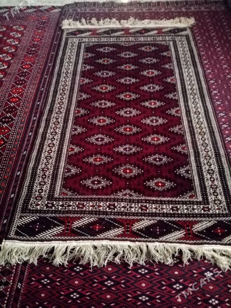 Haly - Balkanabat - img 1