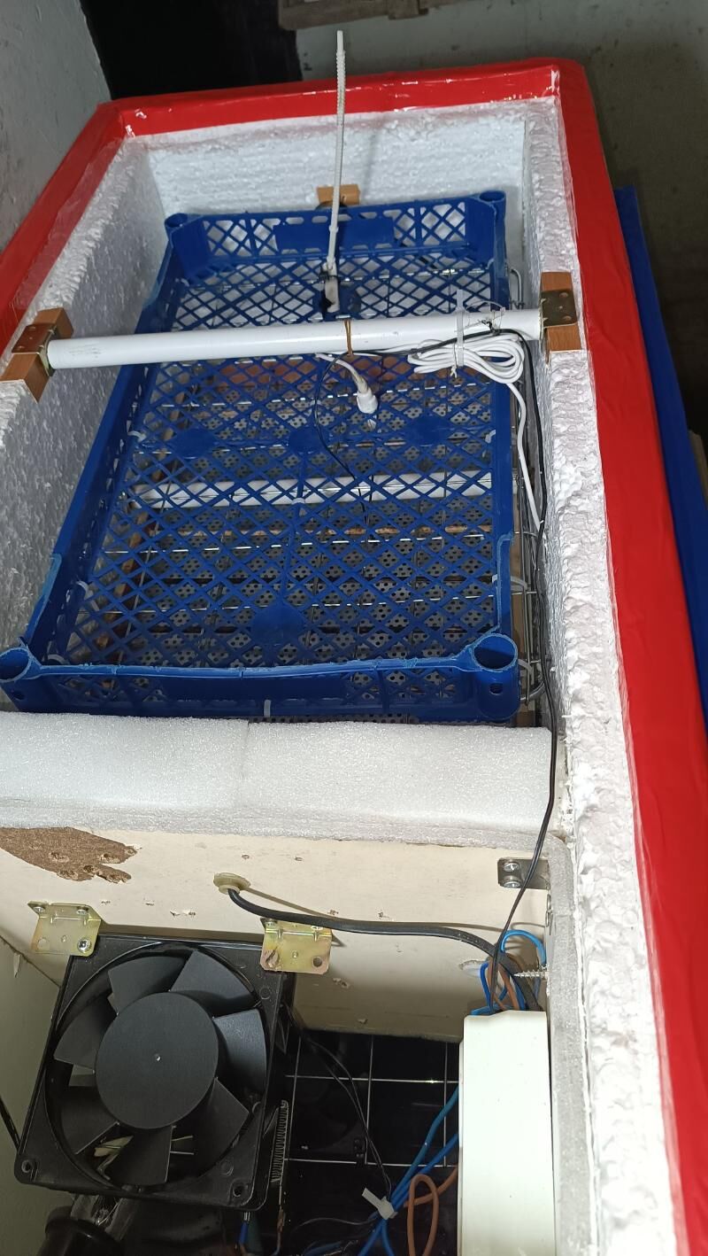 inkubator инкубатор - Mary - img 9