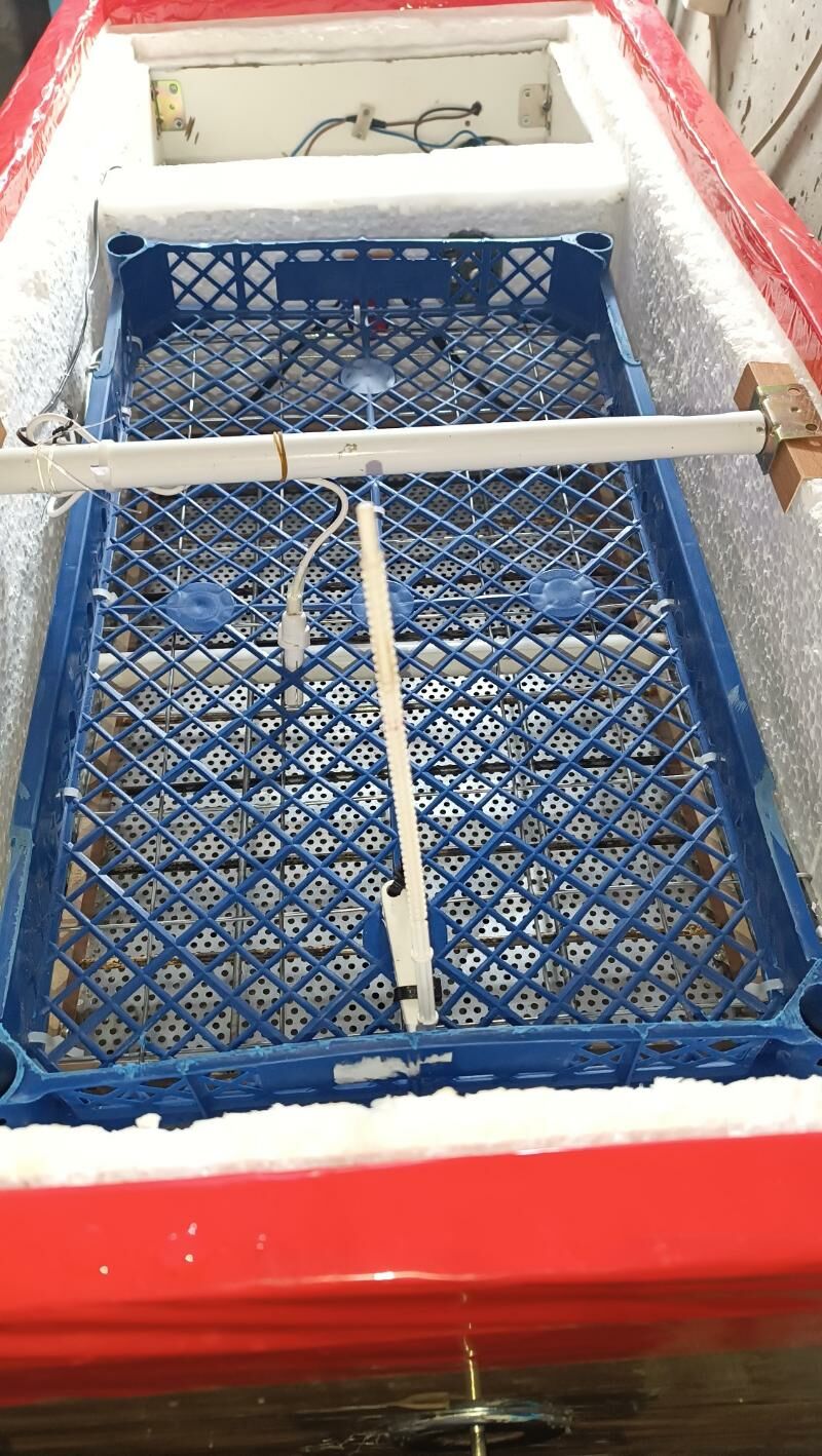 inkubator инкубатор - Mary - img 10