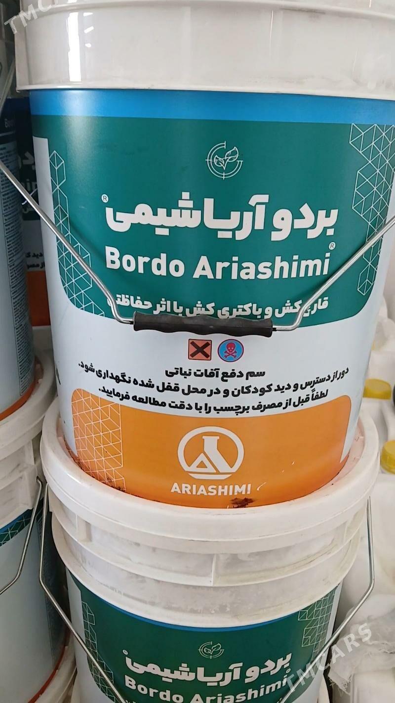 Bordo Bulamaci - Ýaşlyk - img 1