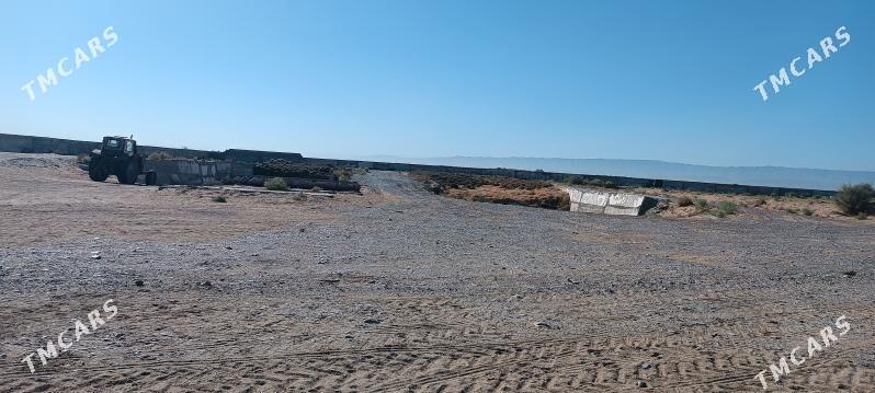 satlyk ferma - Ак-Бугдайский этрап - img 6