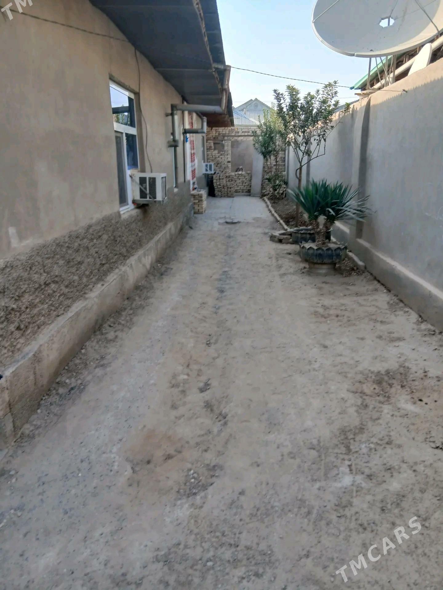 Satlyk jay - Mary - img 5