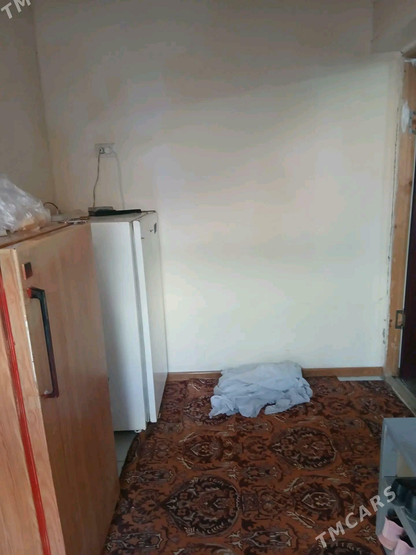 Satlyk jay - Mary - img 4